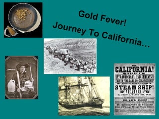 Gold Fever!  Journey To California… 