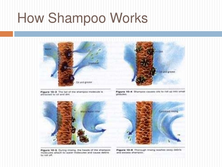 presentation1 how shampoo works