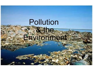 Pollution   & the  Environment 