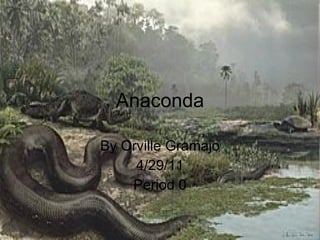 Anaconda By Orville Gramajo 4/29/11 Period 0 