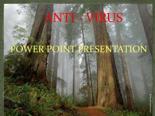 ANTI - VIRUS   POWER POINT PRESENTATION 