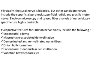 #Typically, the sural nerve is biopsied, but other candidate nerves include the superficial peroneal, superficial radial, and gracilis motor nerve. Electron microscopy and teased fiber analysis of nerve biopsy specimens is highly desirable. #Supportive features for CIDP on nerve biopsy include the following : Endoneurial edema  Macrophage-associated demyelination  Demyelinated and remyelinated nerve fibers  Onion bulb formation  Endoneurial mononuclear cell infiltration  Variation between fascicles 
