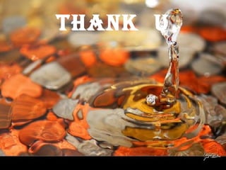 THANK  U 