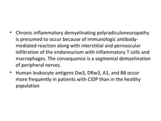 Chronic inflammatory demyelinating polyradiculoneuropathy is presumed to occur because of immunologic antibody-mediated reaction along with interstitial and perivascular infiltration of the endoneurium with inflammatory T cells and macrophages. The consequence is a segmental demyelination of peripheral nerves.  Human leukocyte antigens Dw3, DRw3, A1, and B8 occur more frequently in patients with CIDP than in the healthy population 