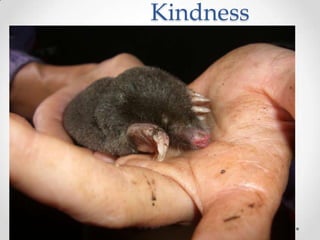 Kindness