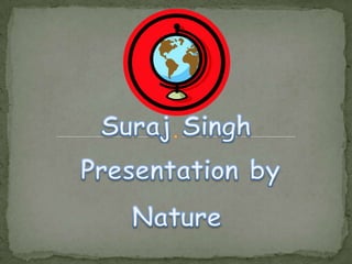 Suraj Singh  Presentation by Nature 