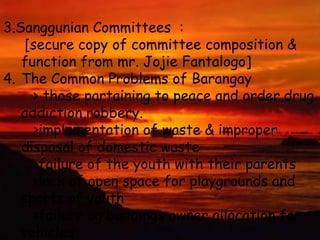 3.Sanggunian Committees  :     [secure copy of committee composition & function from mr.JojieFantalogo]The Common Problems of Barangay       > those partaining to peace and order,drugaddiction,robbery.       >implementation of waste & improper disposal of domestic waste       >failure of the youth with their parents       >lack of open space for playgrounds and sports of youth       >failure og buildings owner allocation for vehicles