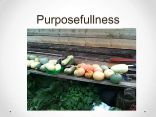 Purposefullness