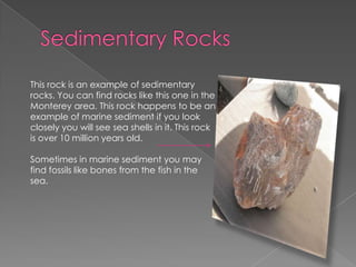 Sedimentary RocksThis rock is an example of sedimentary rocks. You can find rocks like this one in the Monterey area. This rock happens to be an example of marine sediment if you look closely you will see sea shells in it. This rock is over 10 million years old. Sometimes in marine sediment you may find fossils like bones from the fish in the sea.