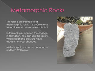 Metamorphic RocksThis rock is an example of a metamorphic rock.  It is a Calaveras formation and has some marble in it.In this rock you can see the change in formation. You can see the layers where heat and pressure have made chemical changes. Metamorphic rocks can be found in northern California.
