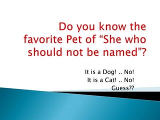 Do you know the favorite Pet of “She who should not be named”? It is a Dog! .. No! It is a Cat! .. No! Guess?? 