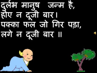 दुर्लभ मानुष  जन्म है,होए न दूजी बार I पक्का फल जो गिर पड़ा, लगे न दूजी बार II