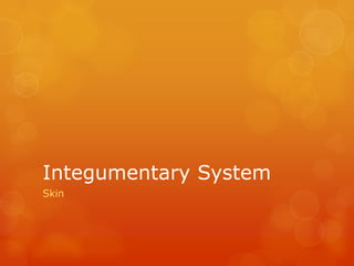 Integumentary System Skin 