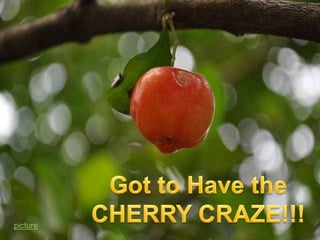 Got to Have the CHERRY CRAZE!!! picture 