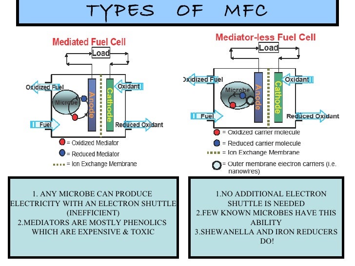 microbial fuel cell