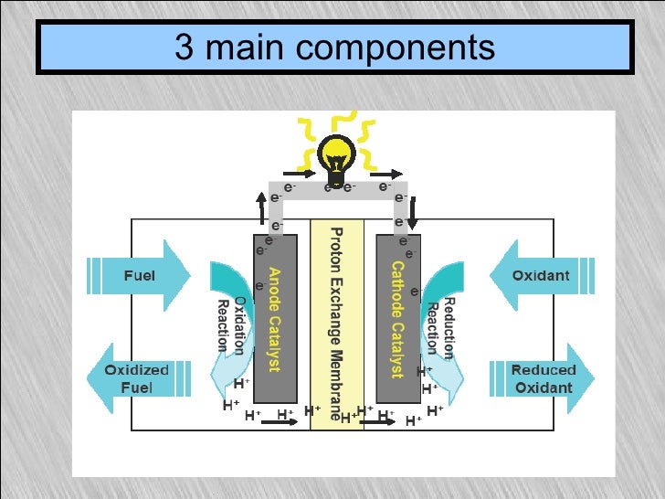 microbial fuel cell