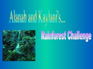 Alanah and Kaylani's... Rainforest Challenge 