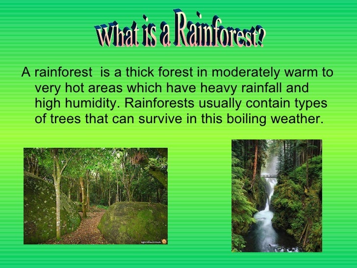 Rainforest Challenge