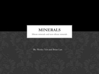 MINERALS
Silicate minerals and non-silicate minerals




 By: Wesley Yeh and Brian Lan
 