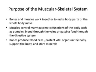 Purpose of the Muscular-Skeletal System

• Bones and muscles work together to make body parts or the
  whole body move
• Muscles control many automatic functions of the body such
  as pumping blood through the veins or passing food through
  the digestive system
• Bones produce blood cells , protect vital organs in the body,
  support the body, and store minerals
 