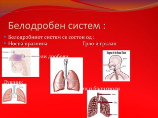 Mehanika na belodrobno disenje | PPT