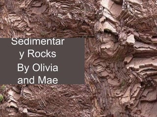 Sedimentar
 y Rocks
 By Olivia
 and Mae
 
