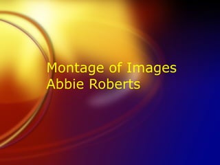 Montage of Images Abbie Roberts 