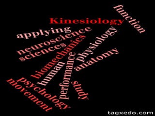 Kinesiology is...