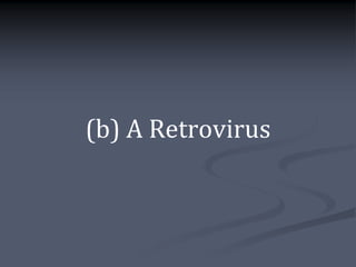 (b) A Retrovirus
 