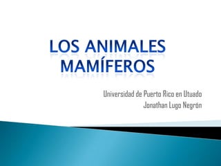 Universidad de Puerto Rico en Utuado
               Jonathan Lugo Negrón
 