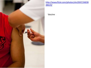 http://www.flickr.com/photos/alvi2047/34838
48619/



  Vaccine
 