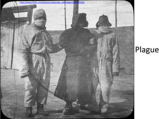 http://www.flickr.com/photos/ralphrepo_photolog/4104559289/




                                                              Plague
 