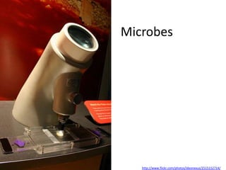 Microbes




   http://www.flickr.com/photos/ideonexus/2515152714/
 