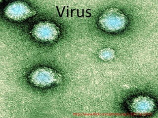 Virus




  http://www.flickr.com/photos/ajc1/1257163357/
 