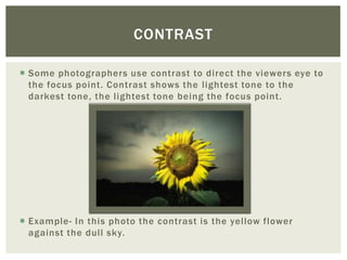 CONTRAST

 Some photographers use contrast to direct the viewers eye to
  the focus point. Contrast shows the lightest tone to the
  darkest tone, the lightest tone being the focus point.




 Example- In this photo the contrast is the yellow flower
  against the dull sky.
 
