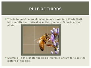 RULE OF THIRDS

 This is to imagine breaking an image down into thirds (both
  horizontally and vertically) so that you have 9 parts of the
  photo.




 Example- In this photo the rule of thirds is shown to to cut the
  picture of the bee.
 