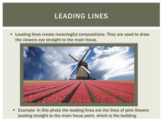 LEADING LINES

 Leading lines create meaningful compositions. They are used to draw
  the viewers eye straight to the main focus.




  Example- In this photo the leading lines are the lines of pink flowers
   leading straight to the main focus point, which is the building.
 