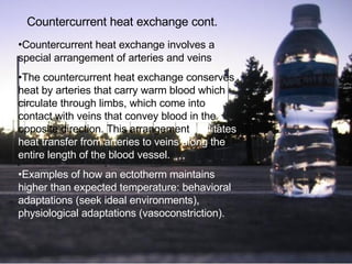 Countercurrent heat exchange cont. • Countercurrent heat exchange involves a special arrangement of arteries and veins • The countercurrent heat exchange conserves heat by arteries that carry warm blood which circulate through limbs, which come into contact with veins that convey blood in the opposite direction. This arrangement  facilitates heat transfer from arteries to veins along the entire length of the blood vessel.  • Examples of how an ectotherm maintains higher than expected temperature: behavioral adaptations (seek ideal environments), physiological adaptations (vasoconstriction).  