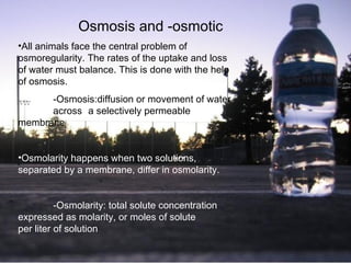 Osmosis and -osmotic All animals face the central problem of osmoregularity. The rates of the uptake and loss of water must balance. This is done with the help of osmosis. -Osmosis: diffusion or movement of water  across  a selectively permeable  membrane   Osmolarity happens when two solutions, separated by a membrane, differ in osmolarity. - Osmolarity: total solute concentration  expressed as molarity, or moles of solute  per liter of solution 