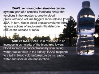 ·          RAAS: renin-angiotensin-aldosterone system : part of a complex feedback circuit that functions in homeostasis, drop in blood pressure/blood volume triggers renin release from JGA. In turn, rise in blood pressure/volume from various actions of angiotensin II/aldsterone reduce the release of renin.  ·          ADH vs RAAS : ADH is a response to an increase in osmolarity of the blood and lowers blood sodium ion concentration by stimulating water reabsorption in the kidney. RAAS responds to a fall in blood volume/pressure by increasing water and sodium ion reabsorption.  