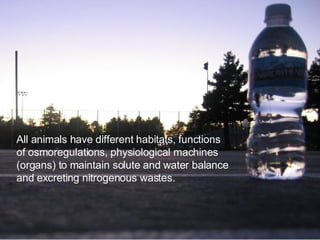 All animals have different habitats, functions of osmoregulations, physiological machines (organs) to maintain solute and water balance and excreting nitrogenous wastes.   