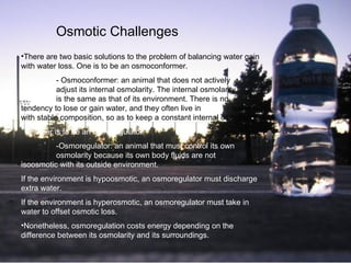 Osmotic Challenges There are two basic solutions to the problem of balancing water gain with water loss. One is to be an osmoconformer. - Osmoconformer:  an animal that does not actively  adjust its internal osmolarity. The internal osmolarity  is the same as that of its environment. There is no  tendency to lose or gain water, and they often live in  water with stable composition, so as to keep a  constant internal osmolarity.   Another is to be an osmoregulator. -Osmoregulator:  an animal that must control its own  osmolarity because its own body fluids are not  isoosmotic with its outside environment.   If the environment is hypoosmotic, an osmoregulator must discharge extra water.   If the environment is hyperosmotic, an osmoregulator must take in water to offset osmotic loss.   Nonetheless, osmoregulation costs energy depending on the difference between its osmolarity and its surroundings.   