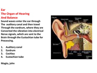 Ear
The Organ of Hearing
And Balance
Sound waves enter the ear through
The auditory canal and then travel
Through the eardrum, where they are
Converted the vibration into electrical
Nerve signals, which are sent to the
Brain through the Eustachian tube for
Processing.

1.   Auditory canal
2.   Eardrum
3.   Cochlea
4.   Eustachian tube

Magto, john
 