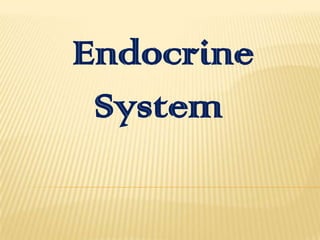 Endocrine
 System
 
