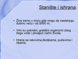 Stanište i ishrana : Žive samo  u  moru gde mogu da nastanjuju dubinu veću  i  od  5000 m; Vrlo su pokretni ,  grabljivi organizmi zbog čega vode i plivajući način života ; Hrane  se  rakovima , školjkama ,  puževima  i  ribama . 
