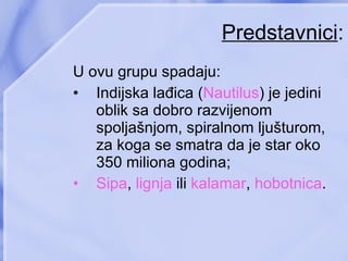 Predstavnici : U ovu grupu spadaju : Indijska lađica ( Nautilus )  je jedini oblik sa dobro razvijenom spoljašnjom, spiralnom ljušturom, za koga se smatra da je star oko 350 miliona godina ; Sipa ,  lignja  ili  kalamar ,  hobotnica . 