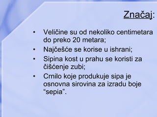 Značaj : Veličine su od nekoliko centimetara do preko 20 metara ; Najčešće se korise u ishrani ; Sipina kost u prahu se koristi za čišćenje zubi ; Crnilo koje produkuje sipa je osnovna sirovina za izradu boje “sepia” . 
