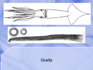 Građa 