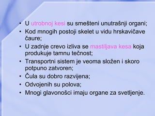 U   utrobnoj kesi   su smešteni unutrašnji organi ; Kod mnogih postoji skelet u vidu hrskavičave čaure ; U zadnje crevo izliva se  mastiljava kesa  koja produkuje tamnu tečnost ; Transportni sistem je veoma složen i skoro potpuno zatvoren ; Čula su dobro razvijena ; Odvojenih su polova ; Mnogi glavonošci imaju organe za svetljenje . 