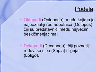 Podela : Oktopodi   (Octopoda), među kojima je najpoznatiji rod hobotnica (Octopus) čiji su predstavnici među najvećim beskičmenjacima ; Dekapodi  (Decapoda), čiji poznatiji rodovi su sipa (Sepia) i lignja (Loligo) .   